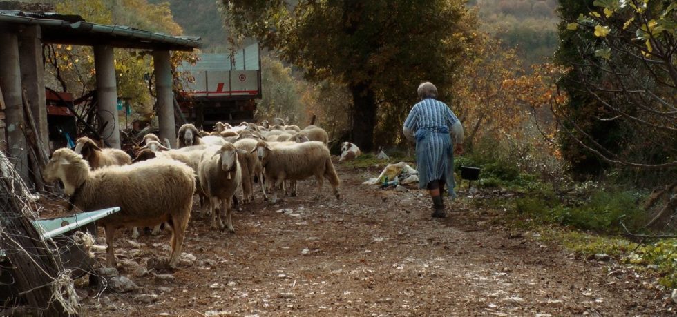 Un viaggio di due anni alla scoperta delle donne pastore
